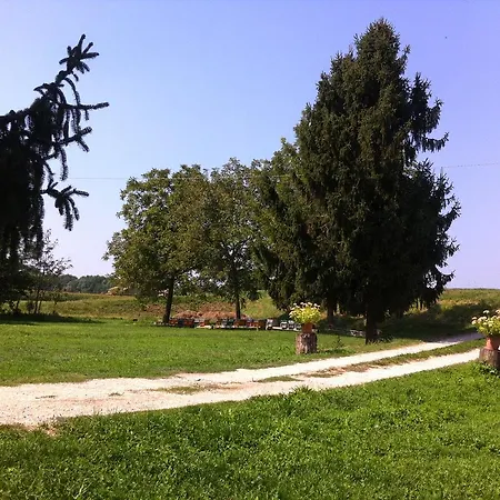 De Carol Bed & Breakfast 3*