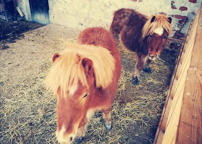 Bed & Breakfast De Carol 3*