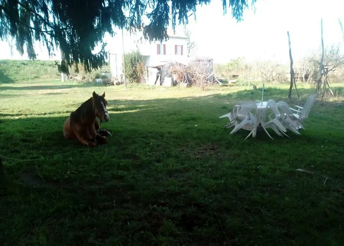 De Carol Bed & Breakfast Gramignazzo